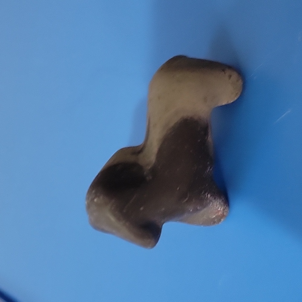 Soapstone Dachsund Crysral Dog - Picture 3 of 10